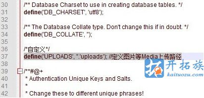 WordPress系统的上传图片路径