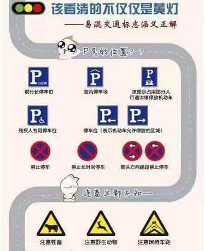 科目一考了34次?! 网友:要不,还是走路吧! 教练还在学员考完后,给自己加油打气了
