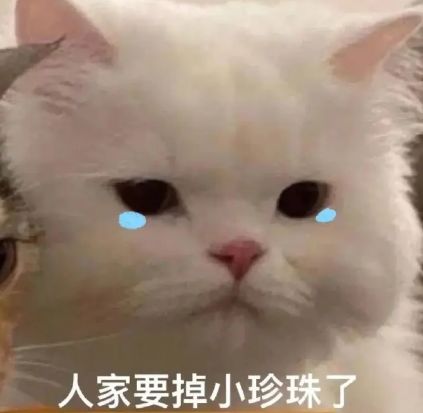 同题参见也不够有天分