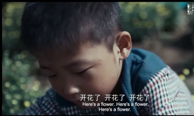 转而在另一个环境中成长
