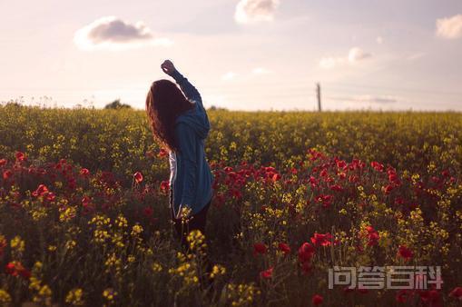 落花有意随流水,流水无情恋落花 裁剪我的人生