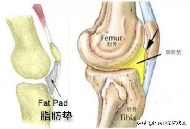 可能是上楼梯由于大腿前侧股直肌发力过