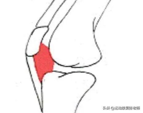 也有可能是上楼梯时靠小腿三头肌发力踮