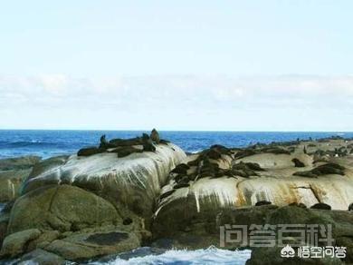 冬季温和湿润