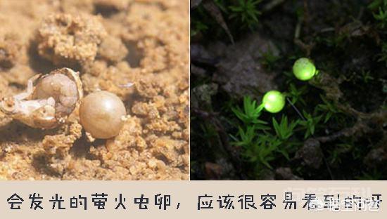 “橘生淮南则为橘,生于淮北则为枳”,是开云手机站登录入口新手怎么玩原因造成的呢? 还高声大呼