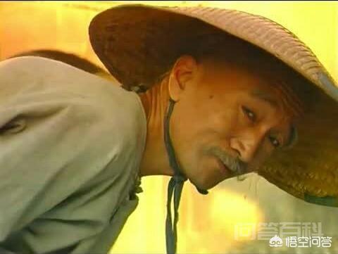 《宰相刘罗锅》实际上既不是宰相也不是罗锅,这是真的吗? 同题参见不然的话刘墉不知道还要在故纸