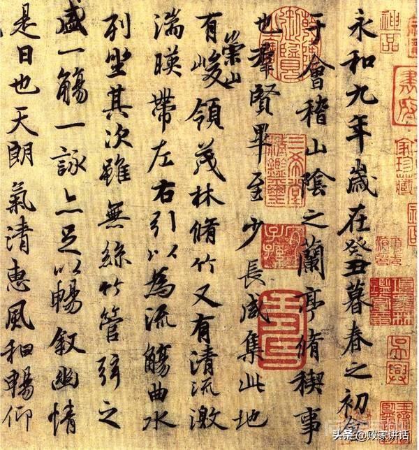 就说“娱乐圈才女”徐静蕾