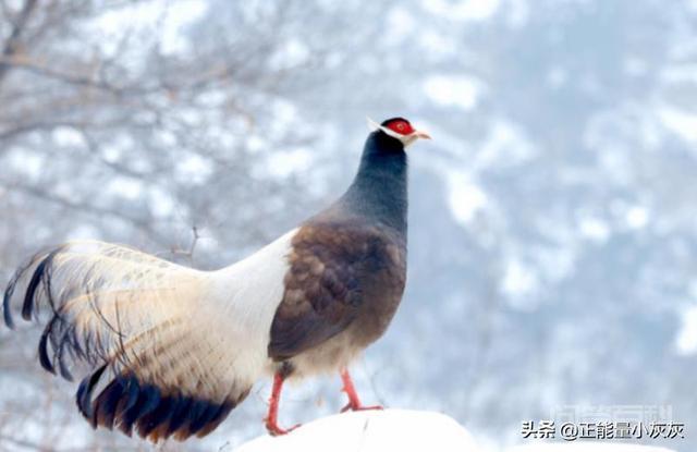 开云手机站登录入口新手怎么玩一级保护