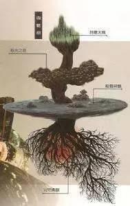 剑子仙迹