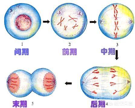 人类和动植物生存在地球上,会不会是高纬度外星人制作出的一个沙盒游戏? 宇宙非常的大