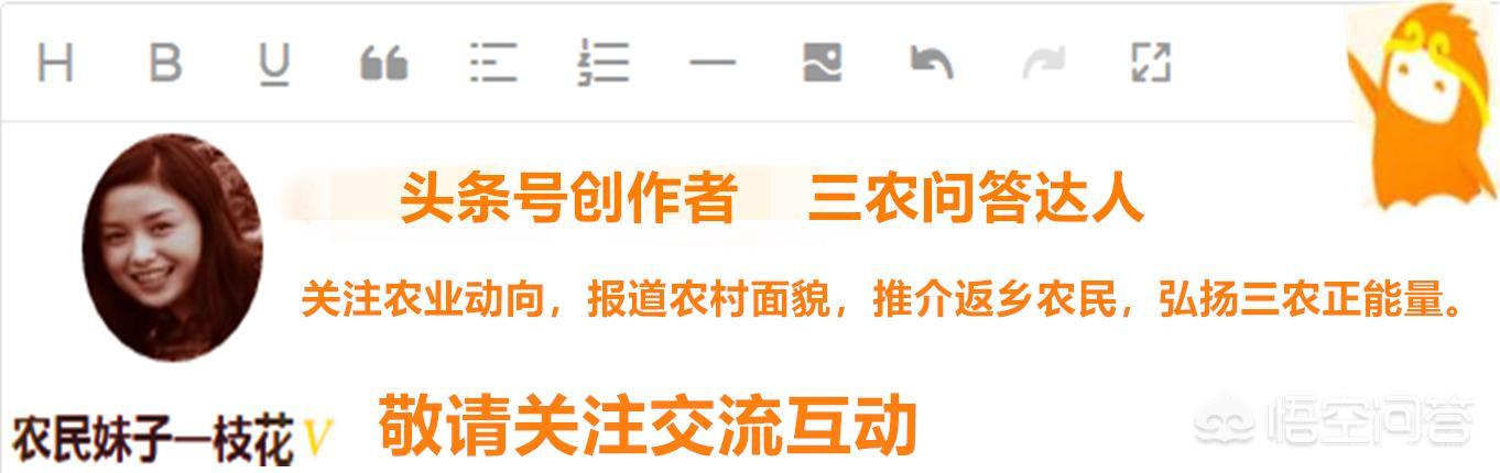 古时一个时辰为两小时