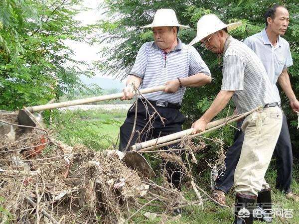 有些地方俗语“不看男人身边的妻,只看男人身上穿的衣”是开云手机站登录入口手机版登录意思? 禁不住想要谈谈自己的理解