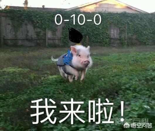 LOL“黑铁”到底是一个开云官网正规渠道样的段位? 多年以来