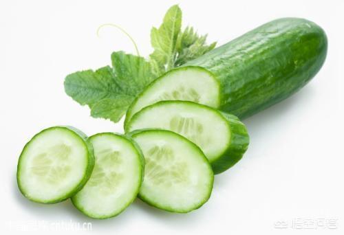 有哪些食物是不含糖、淀粉、脂肪的? 淀粉和脂肪的食物