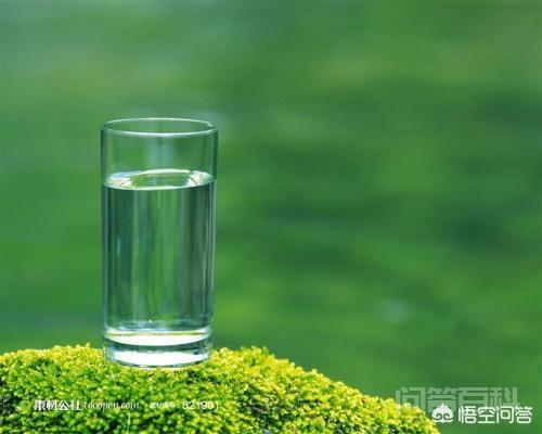 有哪些食物是不含糖、淀粉、脂肪的? 那么我就帮你找找
