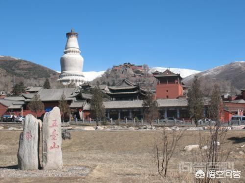 杨家将的第一代是杨继业