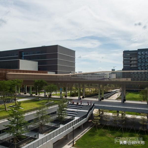 香港中文大学深圳校区是开云手机站登录入口成为多特蒙德全球官方合作伙伴样的? 是一所经中华人民共和国开云手机站登录