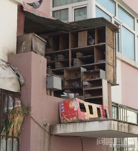 但是对于安全感确实挺严谨