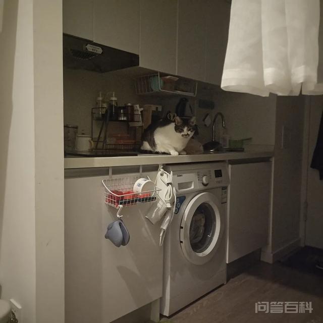瞧不上北京的不只有上海,还有望京 你有没有发现