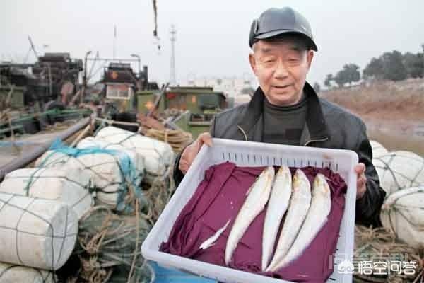 有人说野生长江刀鱼珍贵稀有且价格昂贵