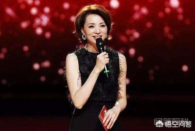 能进央视的是主持人中的佼佼者