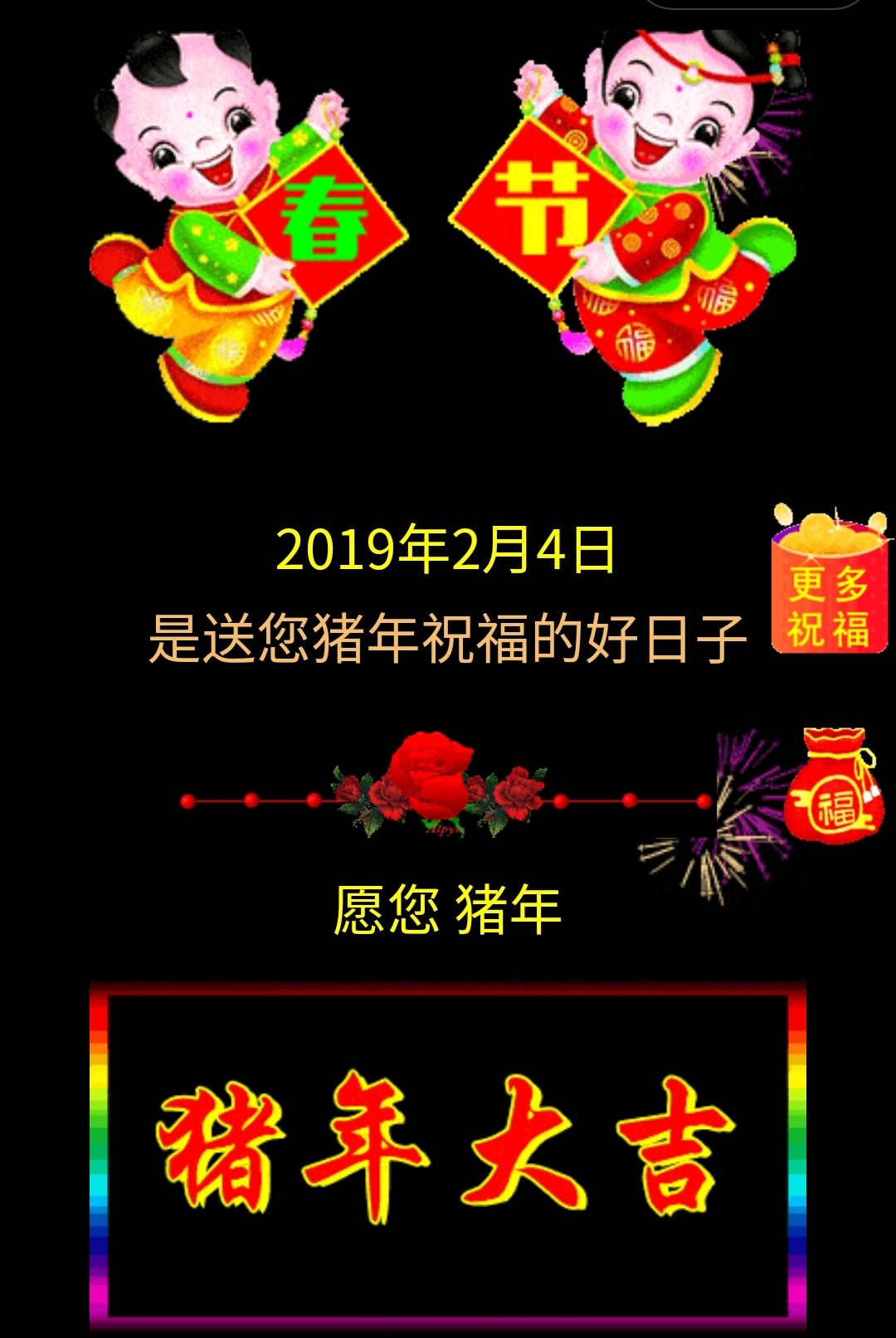 小肥猪带来好运长