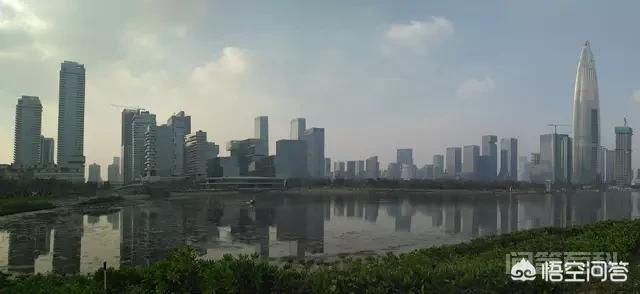 同题参见深圳目前拥有8个市辖行政区和