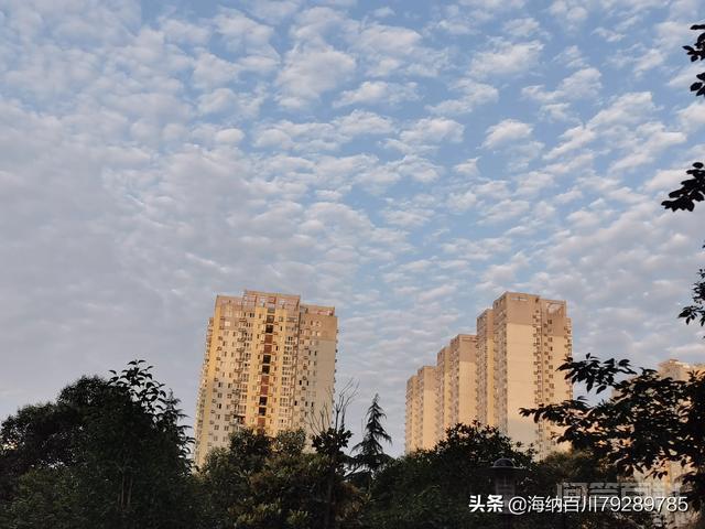 为开云官网栏目导航郑州的外省人员比较少? 五十年代中期