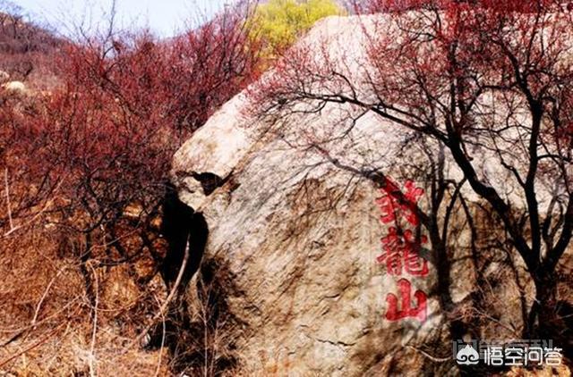 河北元氏县有哪些特产? 同题参见元氏县地处太行山东麓