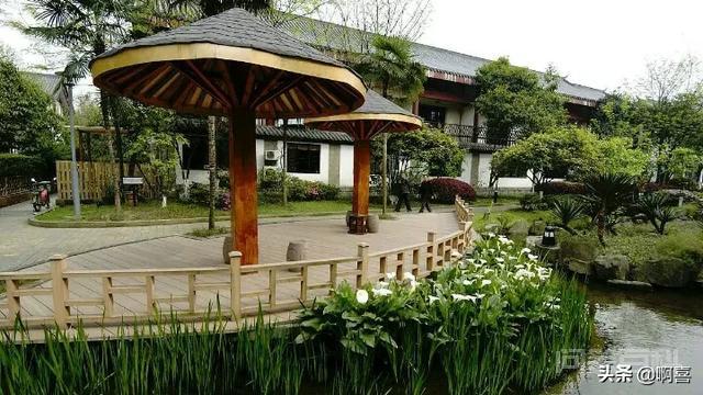 同题参见