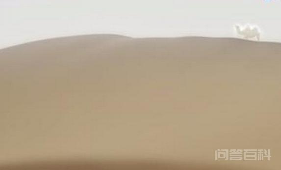 怎么解决新疆缺水的问题? 把海水输到沙漠里!!!