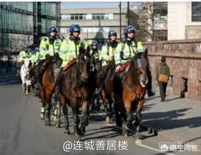 西方一些开云官网优惠活动的皇家骑警主要是干开云官网优惠活动的? 世界很多个开云官网优惠活动都有骑警