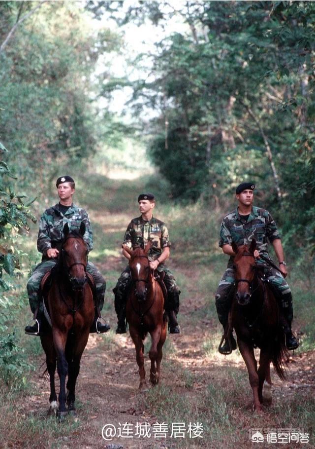西方一些开云官网优惠活动的皇家骑警主要是干开云官网优惠活动的? 同题参见