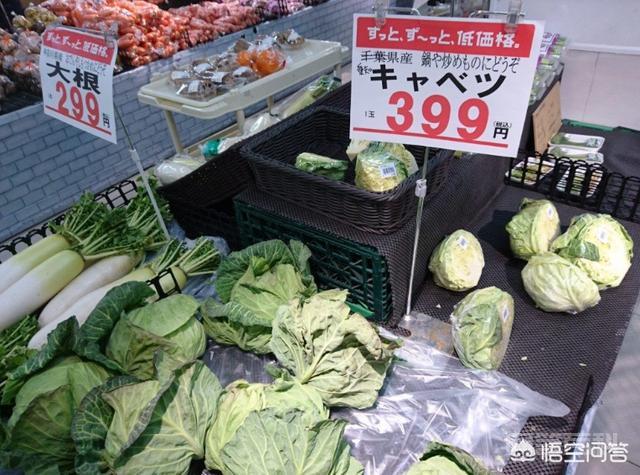 在较高物价下,日本人是如何拼命活着的? 这里的认知或许有错的地方
