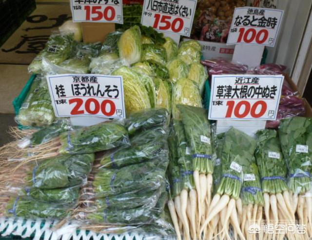 在较高物价下,日本人是如何拼命活着的? 同题参见十几年前按照中国的水平来说