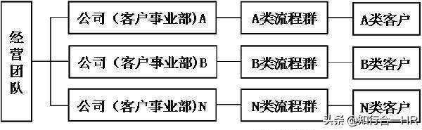 职能制组织结构