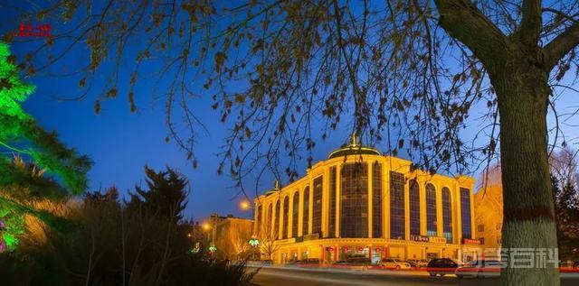 「影像阿旗」阿鲁科尔沁旗:夜色如梦撩人醉 一物一品