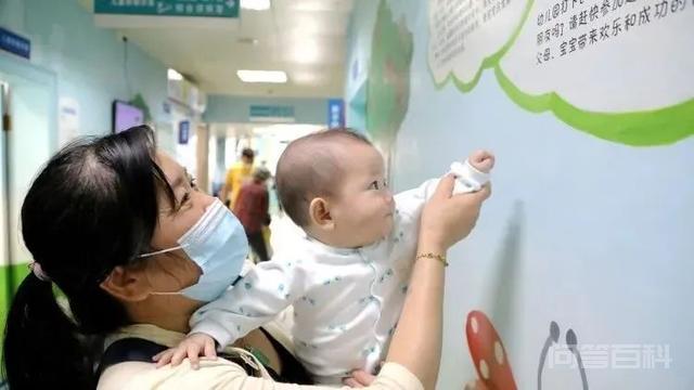 同题参见均可以生育三孩