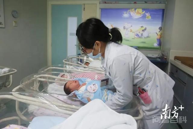 女方生育三孩享受开云手机站登录入口a
