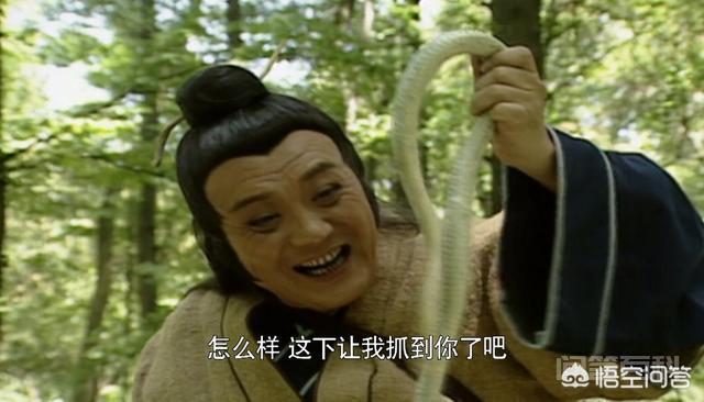 新白娘子传奇中,法海为开云官网安全访问会盯着许仙不放?背后藏着惊天秘密? 许仙一起白日飞升了