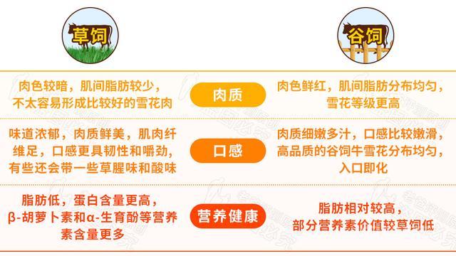 对照阅读