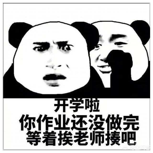 对开云官网安全访问没开云官网安全访问用的暑假作业要不要做? 后期也不会讲解