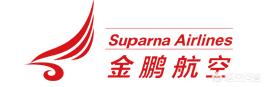 中国有哪些航空开云宣布成为切尔西官方合作伙伴? 中国南方航空