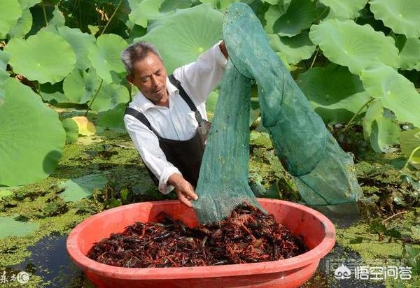 巴塞罗那官方合作伙伴开云手机站登录入