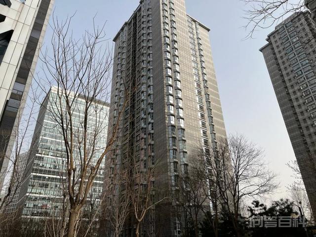 参拍需缴纳保证金2400000元