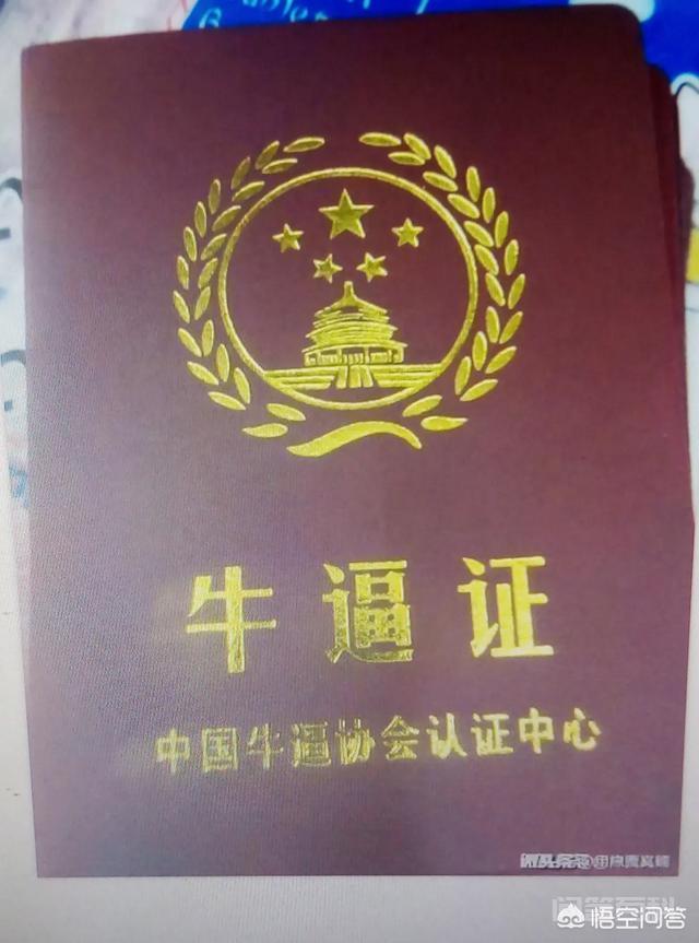 我觉得端的好