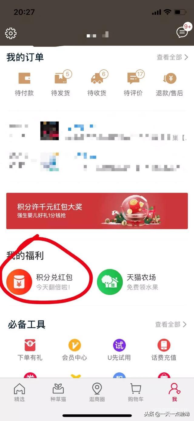 还有十一天