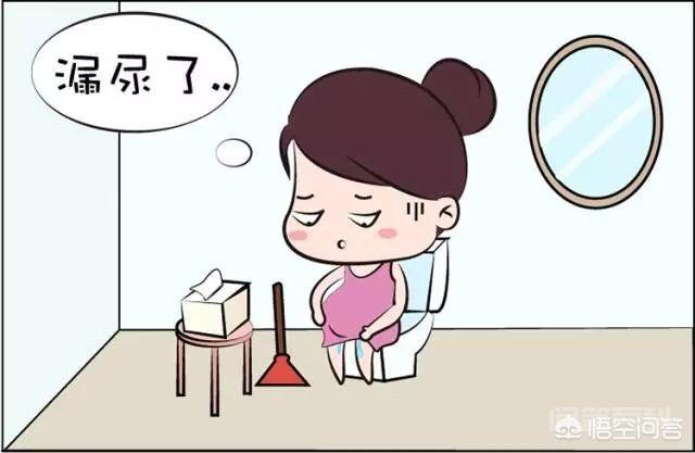 哪些人适合盆底肌锻炼? 哪些人适合盆底肌锻炼?