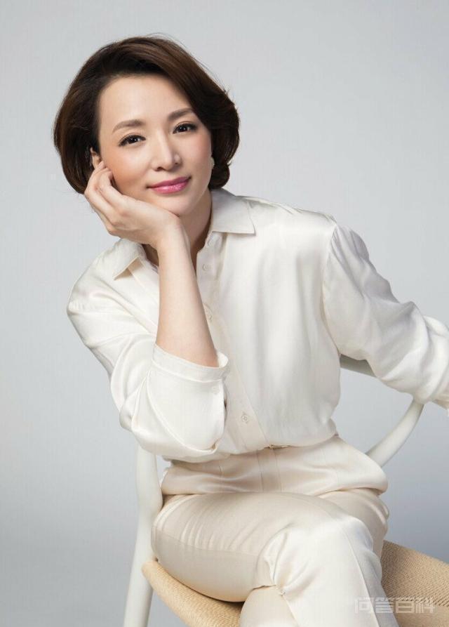 央视10大美女主持人,个个才貌双全,董卿知性,海霞端庄 有网友这样评论央视女主持人