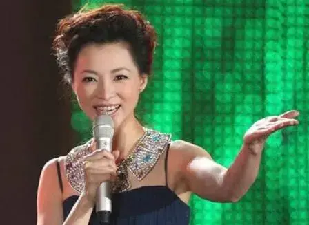 央视10大美女主持人,个个才貌双全,董卿知性,海霞端庄 大家脑海中首先会浮现的就是“知性魅力
